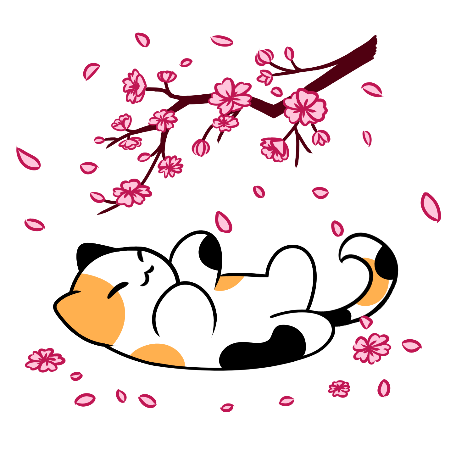 Cherry Blossom Cat