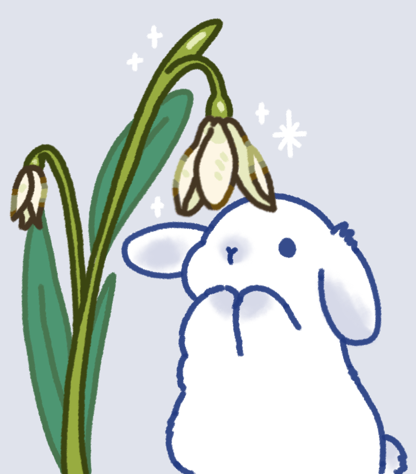Snowdrop Bunny illustration